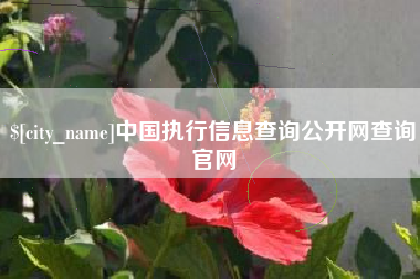 肇州中国执行信息查询公开网查询官网