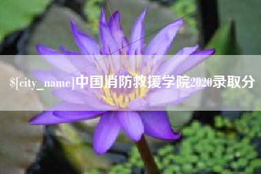 肇州中国消防救援学院2020录取分