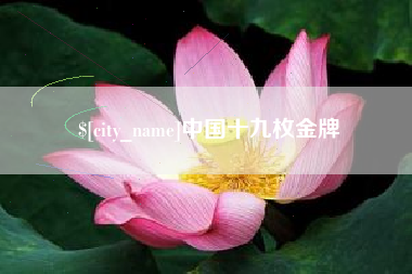 肇州中国十九枚金牌