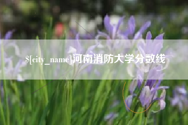 肇州河南消防大学分数线