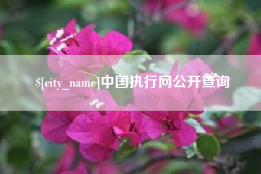 肇州中国执行网公开查询
