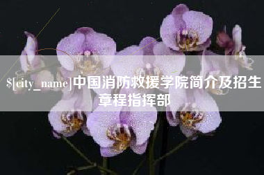 肇州中国消防救援学院简介及招生章程指挥部