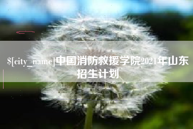 肇州中国消防救援学院2021年山东招生计划