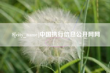 肇州中国执行信息公开网网