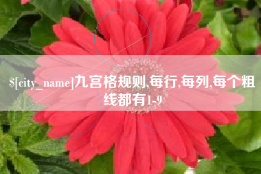 肇州九宫格规则,每行,每列,每个粗线都有1-9