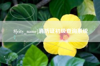肇州消防证初级查询系统