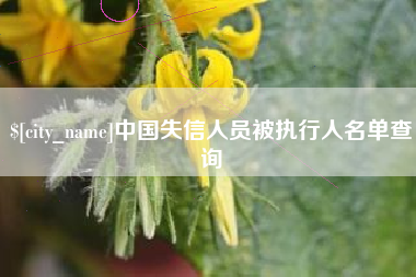 肇州中国失信人员被执行人名单查询