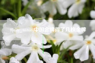 肇州中国金牌得了几枚金牌