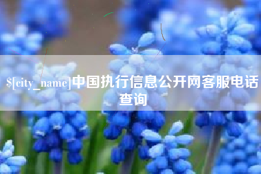 肇州中国执行信息公开网客服电话查询