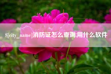肇州消防证怎么查询,用什么软件
