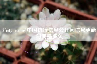 肇州中国执行信息公开网信息更新时间是多久
