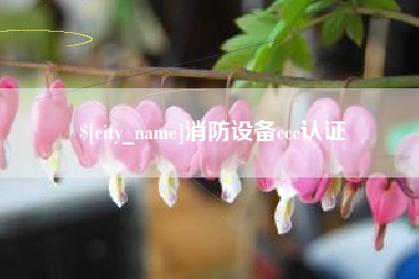 肇州消防设备ccc认证