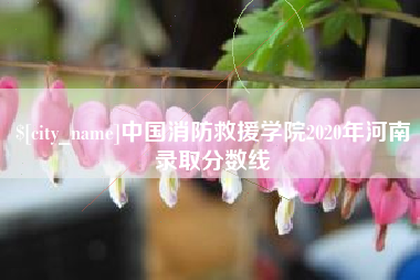 肇州中国消防救援学院2020年河南录取分数线