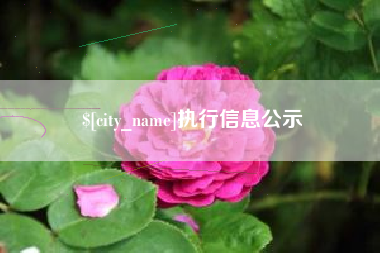 肇州执行信息公示