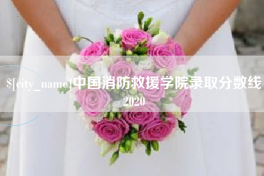 肇州中国消防救援学院录取分数线2020
