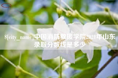 肇州中国消防救援学院2021年山东录取分数线是多少