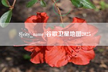 肇州谷歌卫星地图2025