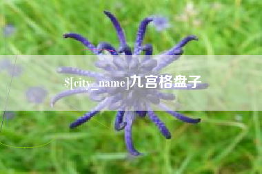 肇州九宫格盘子