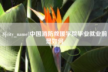 肇州中国消防救援学院毕业就业前景如何