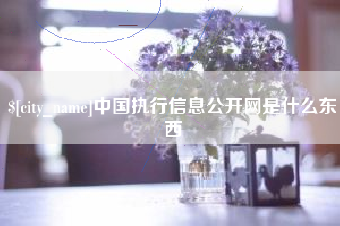 肇州中国执行信息公开网是什么东西
