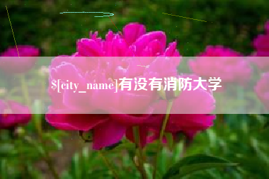 肇州有没有消防大学