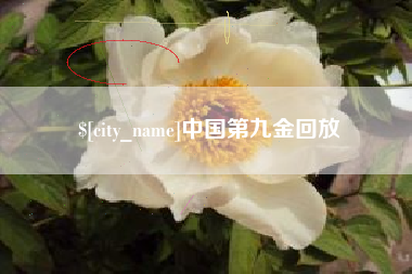 肇州中国第九金回放