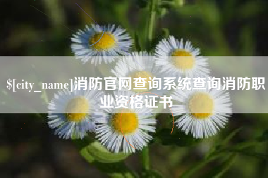 肇州消防官网查询系统查询消防职业资格证书