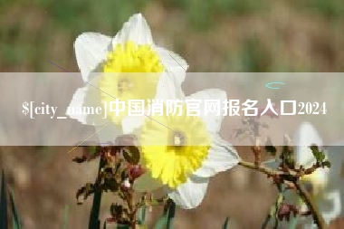 肇州中国消防官网报名入口2024