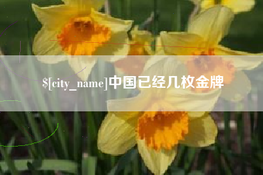 肇州中国已经几枚金牌