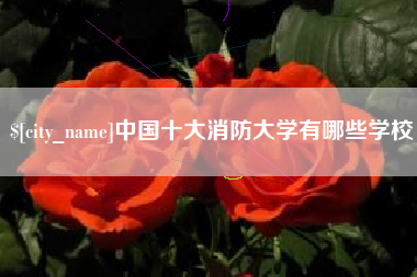 肇州中国十大消防大学有哪些学校