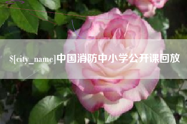 肇州中国消防中小学公开课回放