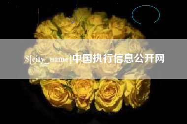 肇州中国执行信息公开网
