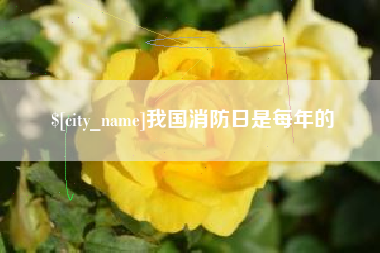 肇州我国消防日是每年的
