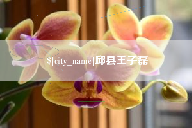 肇州邱县王子磊