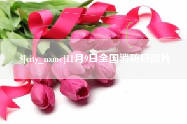 肇州11月9日全国消防日图片