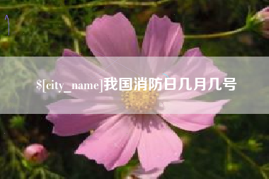 肇州我国消防日几月几号