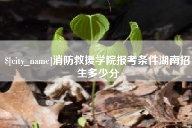 肇州消防救援学院报考条件湖南招生多少分