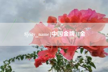 肇州中国金牌18金