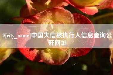 肇州中国失信被执行人信息查询公开网址