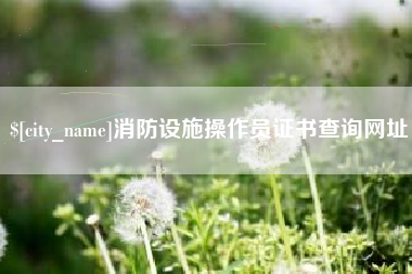 肇州消防设施操作员证书查询网址