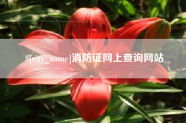 肇州消防证网上查询网站