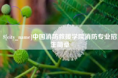 肇州中国消防救援学院消防专业招生简章