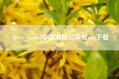 肇州中国消防公众号app下载