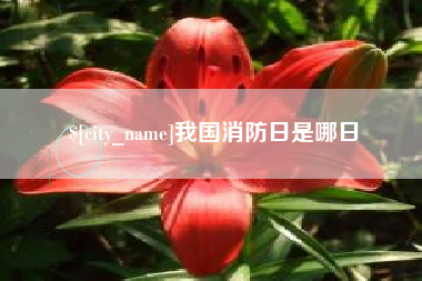 肇州我国消防日是哪日