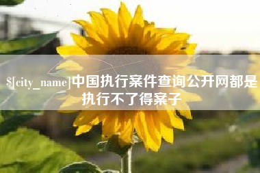 肇州中国执行案件查询公开网都是执行不了得案子