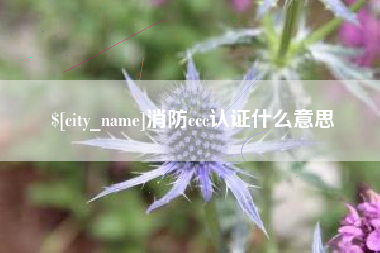 肇州消防ccc认证什么意思