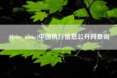 肇州中国执行信息公开网查询