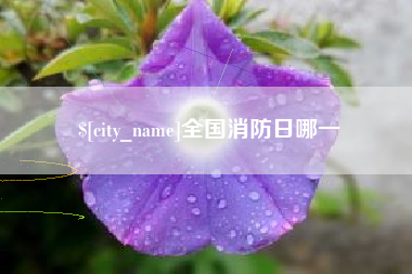 肇州全国消防日哪一