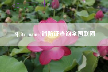 肇州消防证查询全国联网