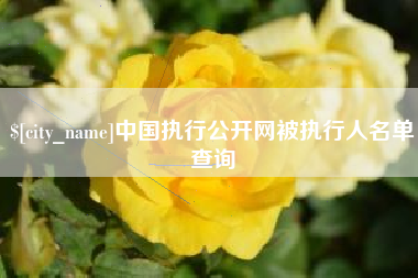 肇州中国执行公开网被执行人名单查询